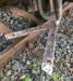 Oppeln 1558 - 2023